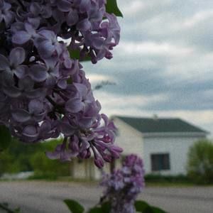 Meet your Posher, Natasha